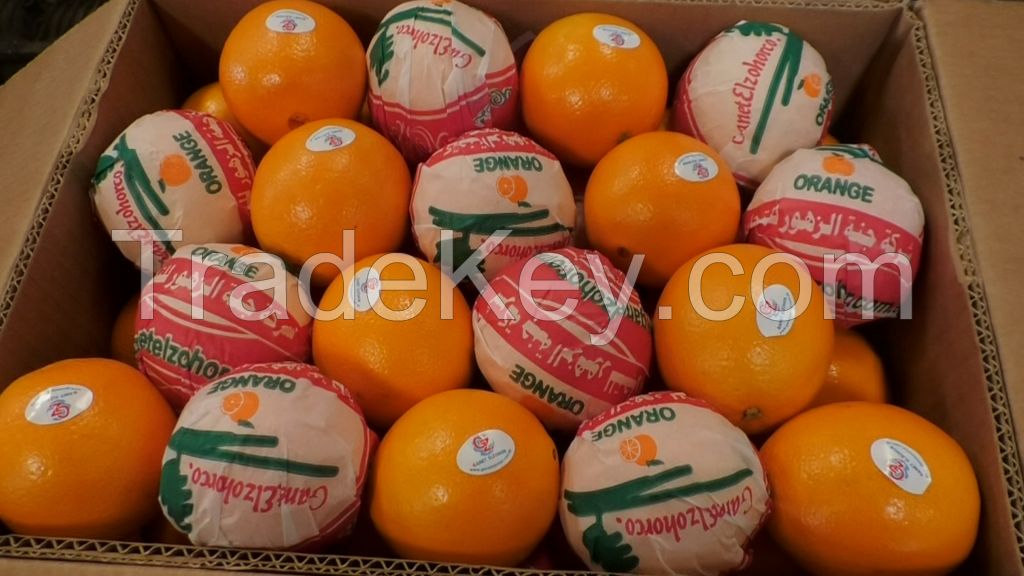 navel orange