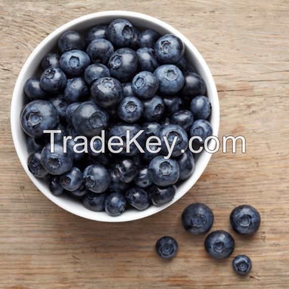 high quality sweet fresh frozen blueberries