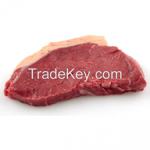 Beef Halal Meat Shin Shank Halal Beef Boneless Part Shipment Immediate