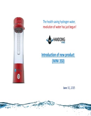 Portable hydrogenerator