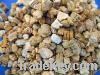 Vermiculite