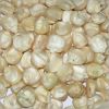 White Maize