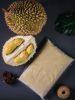 FROZEN DURIAN PASTE