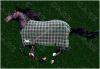 horse blanket