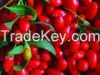 Organic Goji Berry-Chinese Goji Berry