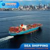 sea freight shanghai to south africa and australia ddp dhl sea shippingHot sale products