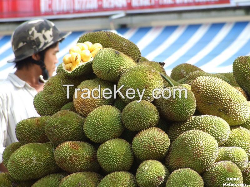 Irresistible Jackfruit Turkey Recipe for a Flavorful Holiday Feast