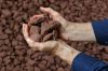 Iron ore