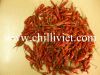 dehydrated chilli