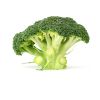 fresh broccoli for sell australia