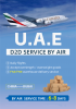 CHINA -DUBAI door to door by air cargo service 