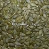 Chinese Pumpkin Seeds Kernel for Exporting