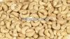 Cashew Nuts