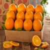 Fresh Navel Oranges