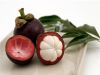 Fresh Mangosteen