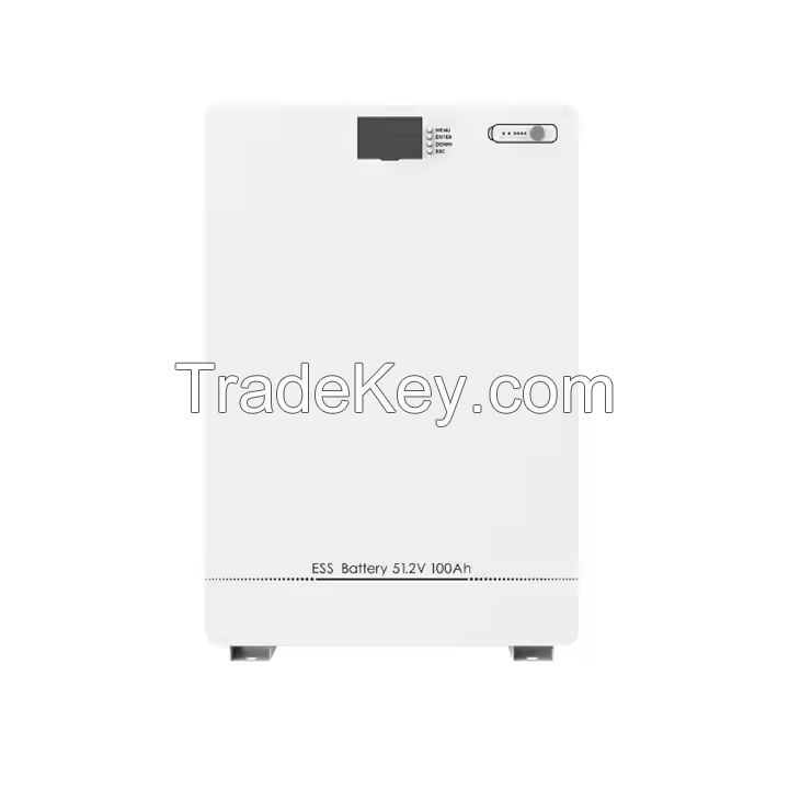 48V 51.2V 100Ah 200Ah Wall Mounted Home Energey Storage System 6000 Cycles 5Kwh 10Kwh Solar Energy Storage Lipeo4 Battery