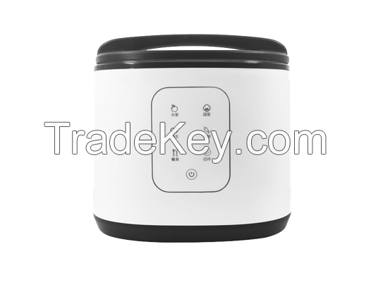 Household fruit and vegetable disinfection machine, fruit cleaning machine