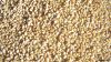 Sesame Seeds Available For Sale And Export