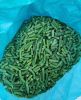 IQF Frozen Green Beans - Frozen Vegetables