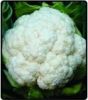 CAULIFLOWER