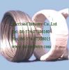 Electro Galvanized Wire