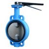 Butterfly Valves