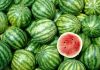 Water Melon