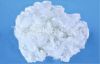 Recycled Polyester Staple Fiber 7D X 64mm HCS