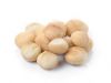 macadamia nuts are the best