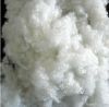 7D*64 HCS Recycled polyester staple fiber