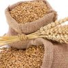 High Quality Wheat / Wheat Grain / Ukraine Wheat for Sale / Barley