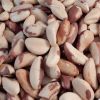 natural brazilian nuts Bertholletia excelsa Brazil nut for food