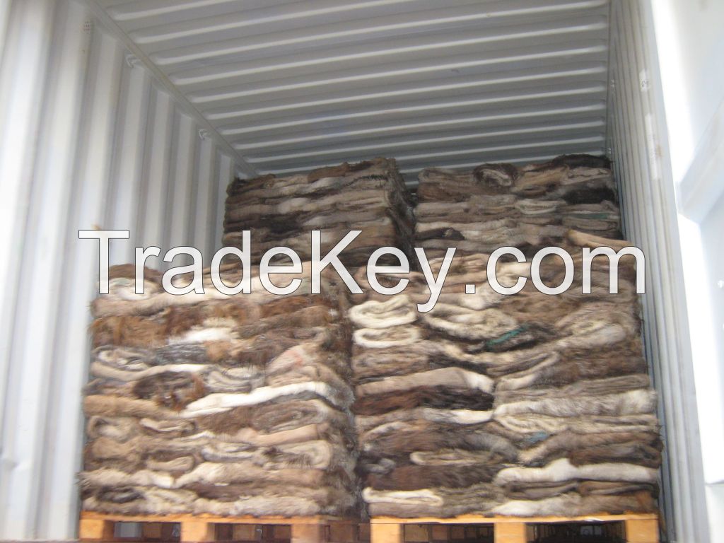 Wet / Dry Salted Donkey Hides