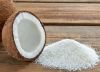 Best Seller - Desiccated Coconut Low Fat Fine Grade