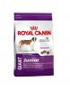 Royal Canin Maxi Starter, Mini Adult, Medium Adult, Dry Cats Food, Dry Dogs Food