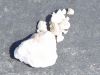 Sell Gypsum Rock,Gypsum powder,Mineral Gypsum
