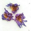 NATURAL DRY LOTUS FLOWER FOR SCENTED TEA BATH SOAKS AND HERBAL REMEDIES