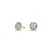 Gold Plated CZ Studded Twisted Stud Earring