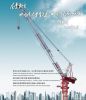 Luffing Tower Crane (D-160)