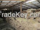 WET/DRY SALTED HORSE HIDES AND SALTED DONKEY HIDES