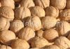 Walnuts