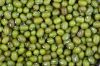 Mung beans for sale