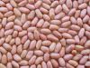 Sell peanut kernels(long type)