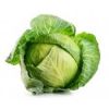 fresh cabbage suppliers australia