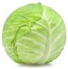 fresh cabbage suppliers dubai