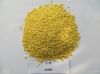 yellow millet