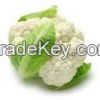 Fresh Cauliflower