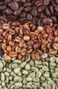 Arabica Coffee Beans, Robusta Coffee Beans, Cocoa Beans, Vanilla Beans, Butter Beans