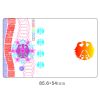 Transparent Clear Hologram Laminated ID Cards' Film Overlay Holographic Sticker Overlay