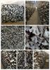 Dried White Back Black Fungus Mushroom Slices